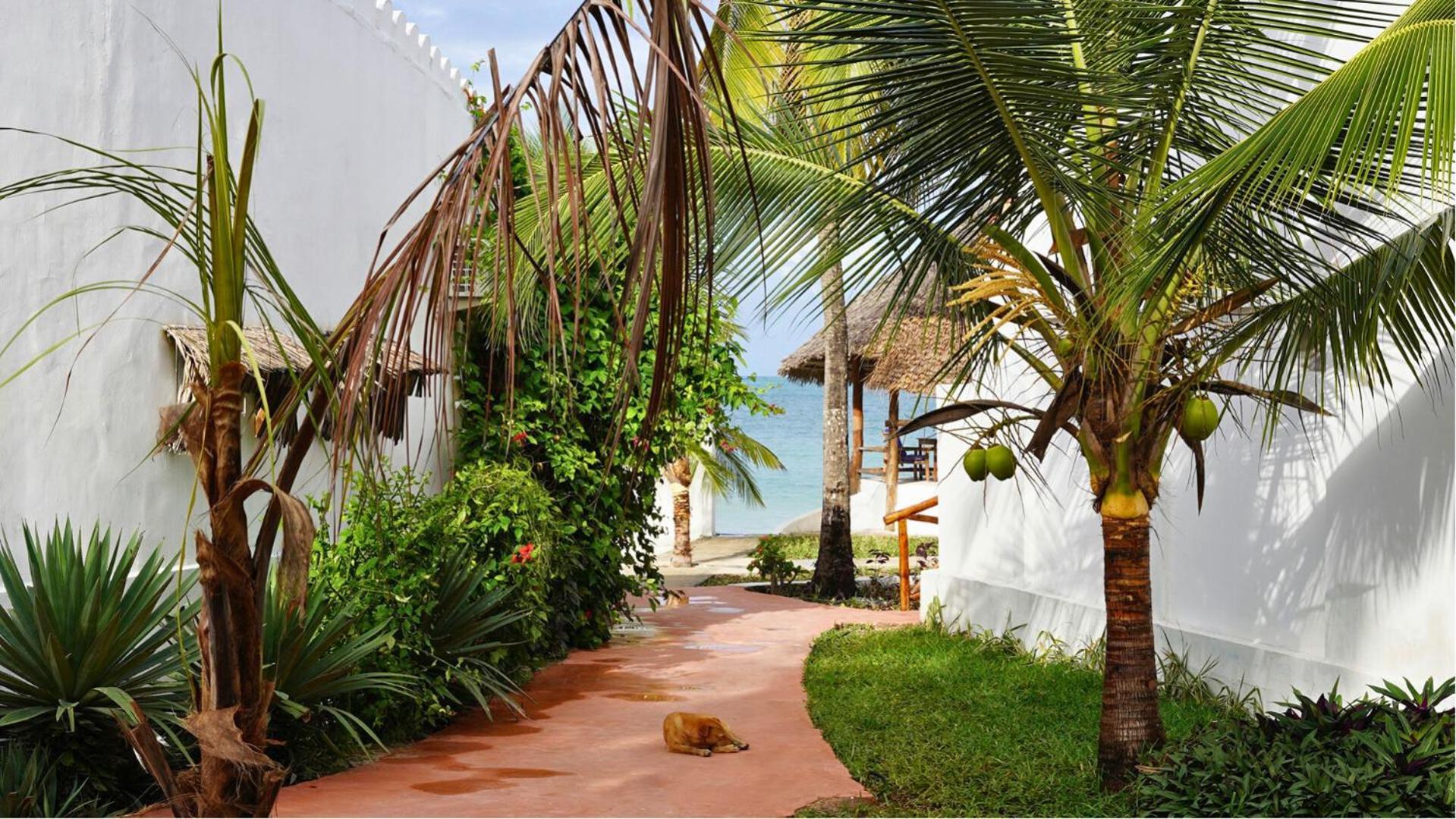 Nautilus Boutique Hotel อูโร ภายนอก รูปภาพ